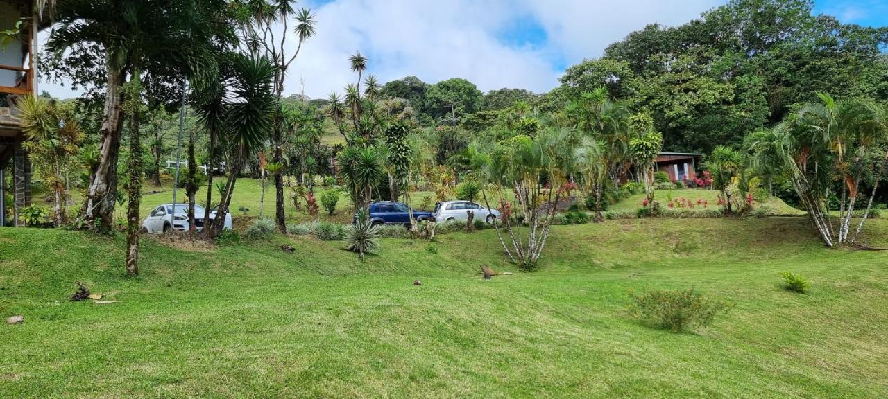 Hotel La Rana De Arenal Nuevo Arenal Buitenkant foto