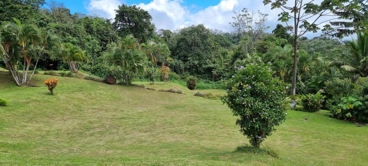 Hotel La Rana De Arenal Nuevo Arenal Buitenkant foto