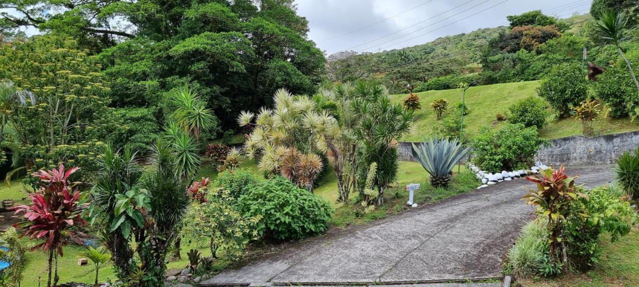 Hotel La Rana De Arenal Nuevo Arenal Buitenkant foto