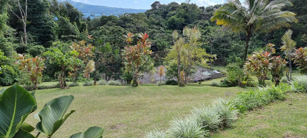 Hotel La Rana De Arenal Nuevo Arenal Buitenkant foto