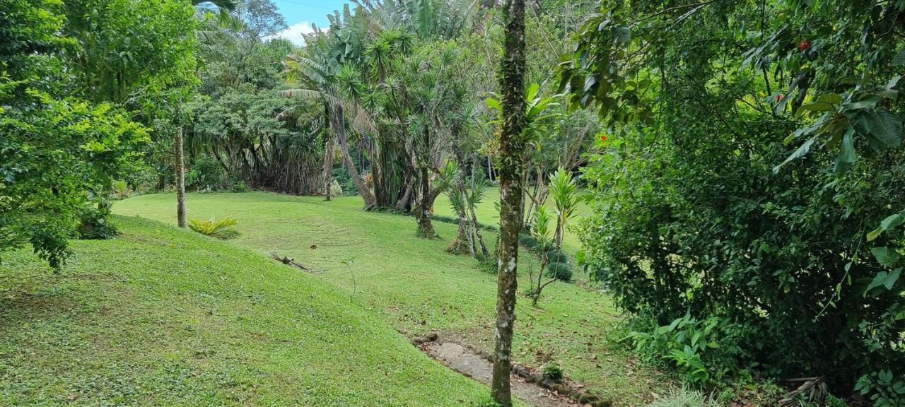 Hotel La Rana De Arenal Nuevo Arenal Buitenkant foto