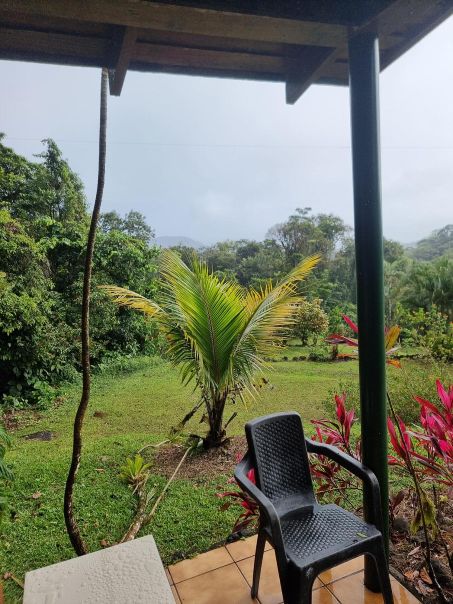 Hotel La Rana De Arenal Nuevo Arenal Buitenkant foto