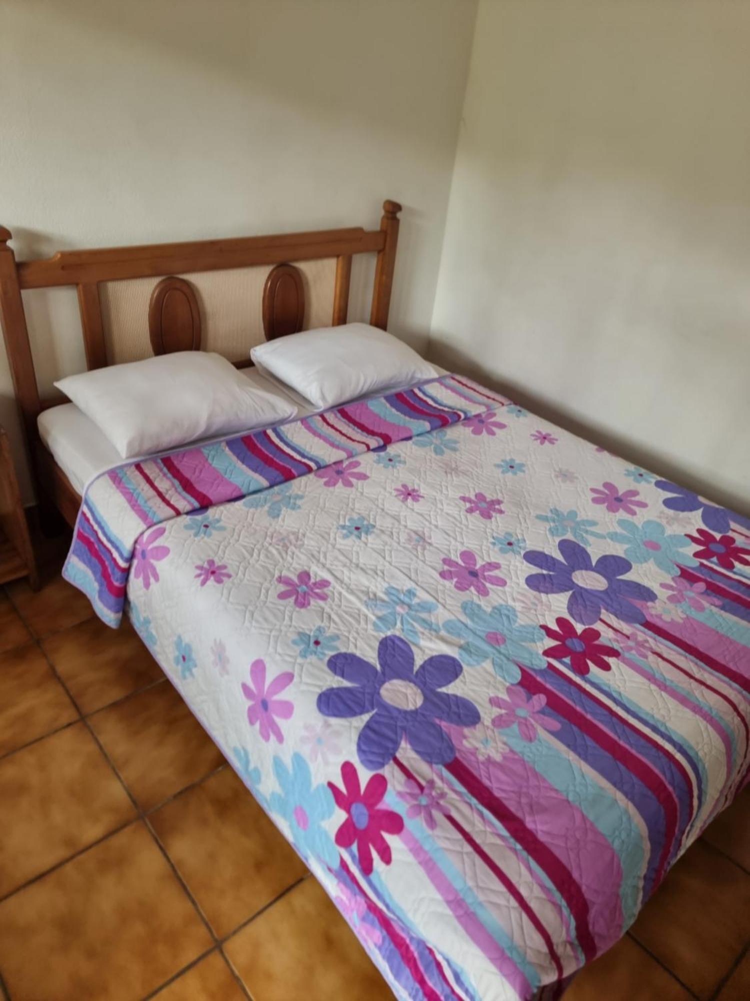 Hotel La Rana De Arenal Nuevo Arenal Buitenkant foto