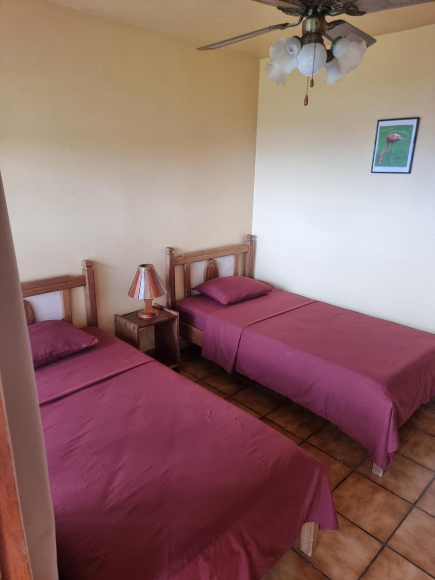 Hotel La Rana De Arenal Nuevo Arenal Buitenkant foto