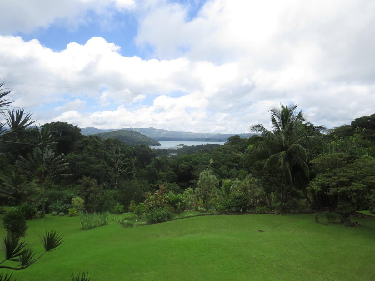 Hotel La Rana De Arenal Nuevo Arenal Buitenkant foto