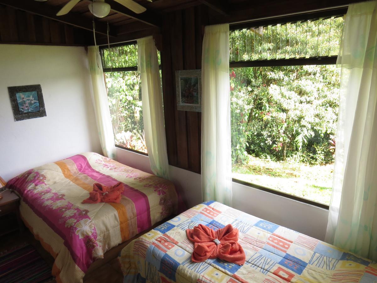 Hotel La Rana De Arenal Nuevo Arenal Buitenkant foto