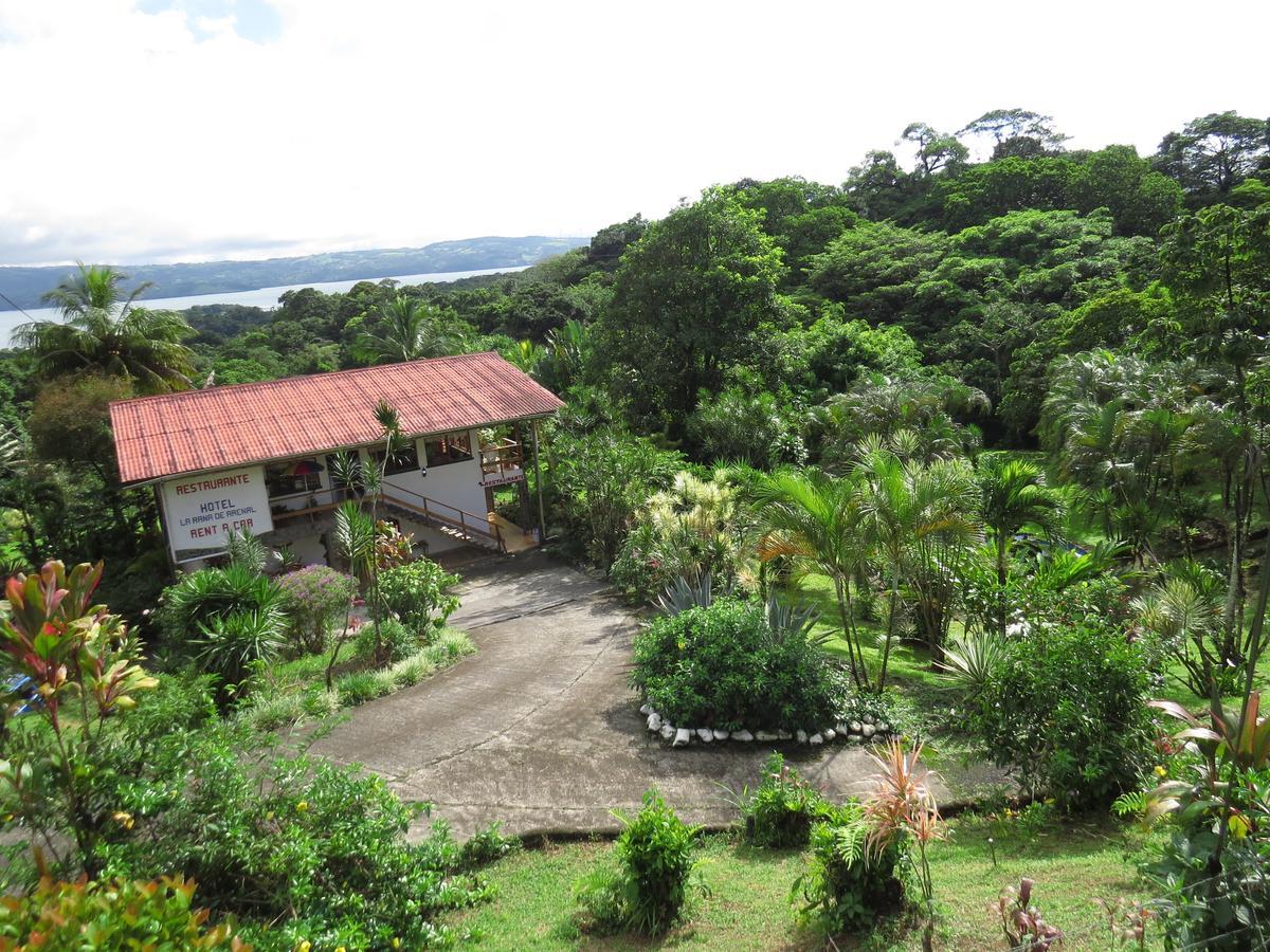 Hotel La Rana De Arenal Nuevo Arenal Buitenkant foto