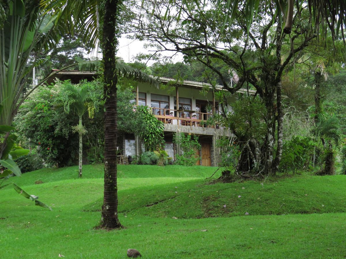 Hotel La Rana De Arenal Nuevo Arenal Buitenkant foto