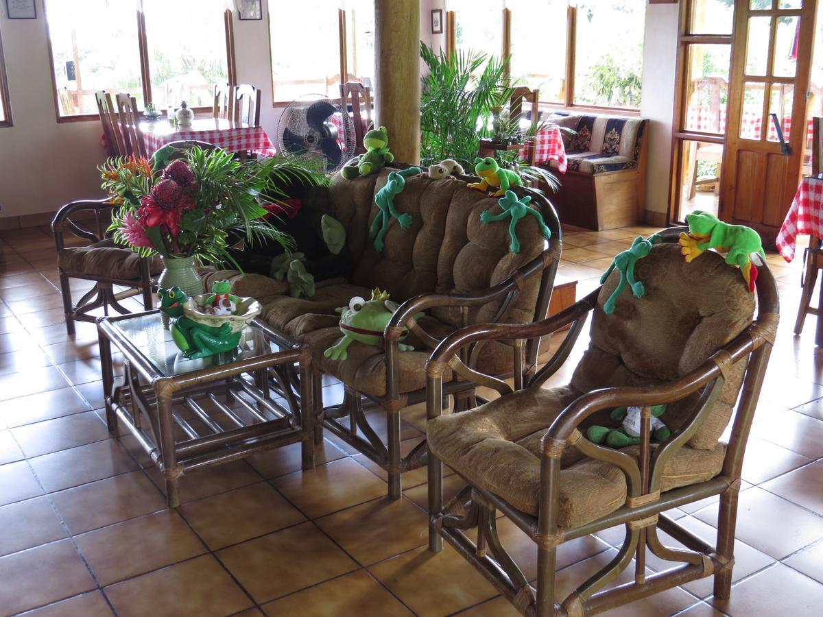 Hotel La Rana De Arenal Nuevo Arenal Buitenkant foto