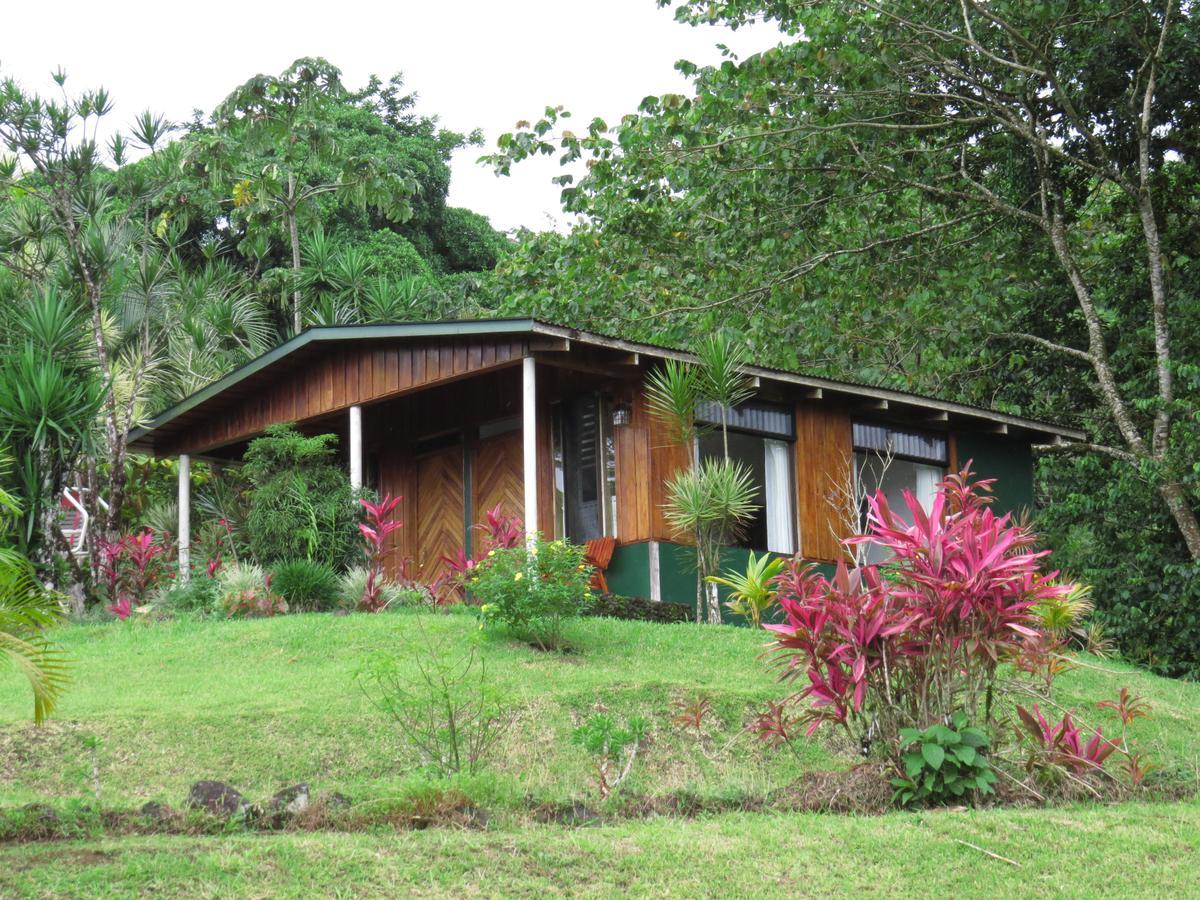 Hotel La Rana De Arenal Nuevo Arenal Buitenkant foto